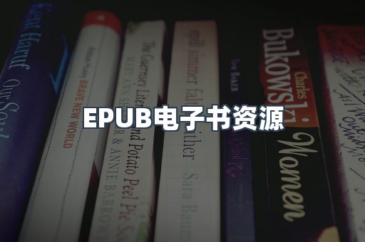 EPUB电子书资源